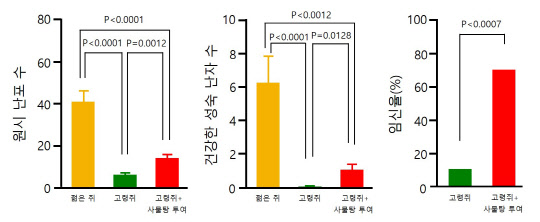 한의학연은 고령의 실험용 쥐를 대상으로 실시한 동물실험에서 사물탕을 투여한 실험군에서 원시 난포 수 감소가 억제됐고, 건강한 난자 수가 증가하는 것을 확인했다.  한의학연 제공